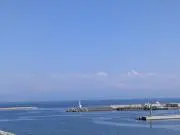 sakuraの画像