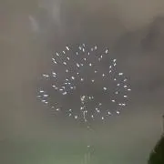 RyuQの画像