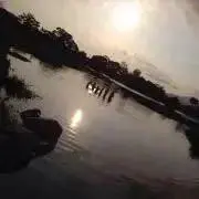 まみむー
