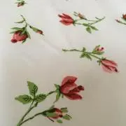 an＊の画像