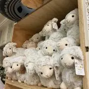 rapi★発送遅れる可能性あります★の画像