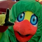 まるちゃんの画像