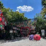 ビタコの画像