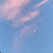 imoの画像