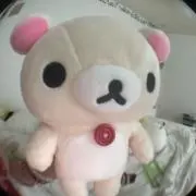 どんぐりの画像