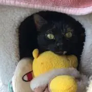 のん★の画像