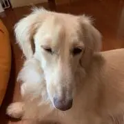 mariaの画像