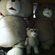 アクシアの画像