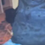shutyourbitchassupの画像