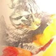 SDS [ご購入前の確認コメ不要です］の画像