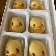 ぴぴの画像