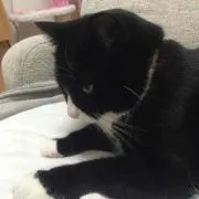えり♪