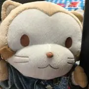 ヨッシー