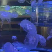 ゆ