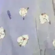 tmgの画像