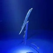 イ。の画像