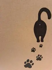 M Sの画像