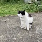 もちゃ※プロフ必読の画像