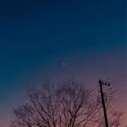 にーの画像