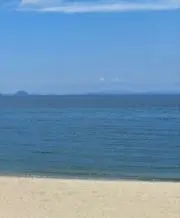 ズッケロの画像