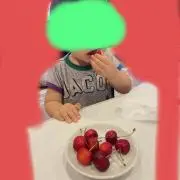 エゴたんの画像