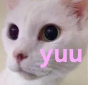 Yuu*の画像