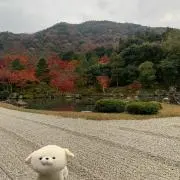 Riyu☺︎：購入前に連絡ください*_*の画像