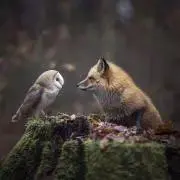 chami(プロフ必読☆)の画像