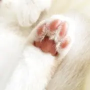 えりおの画像