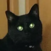 ひろの画像