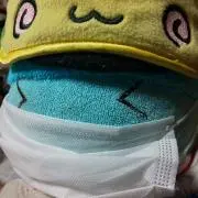 ソーナンス
