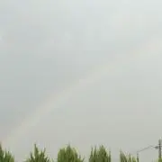 nijicoの画像
