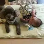 ちゃた&RUIの画像