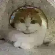 はーまるの画像
