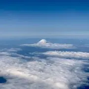 shibekenの画像