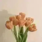 ii 断捨離中の画像
