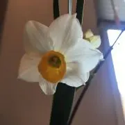 Hello⭐️の画像