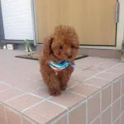 moko☆の画像