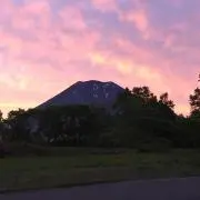じんたま。土日祝発送不可の画像