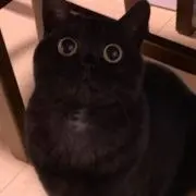 恭介の画像
