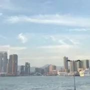 しろの画像