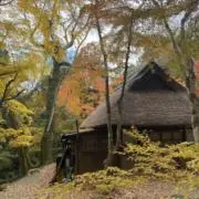 山本