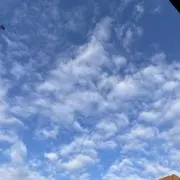 hawai@4