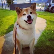ろく