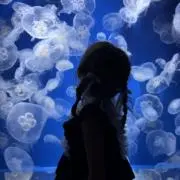 yu..お値下げ交渉ありの画像