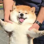 まるの画像