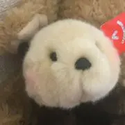 まりんの画像