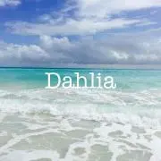 Dahlia-ダリア- ※プロフ必読願