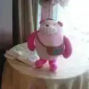 きょんの画像