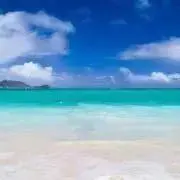 hanaの画像